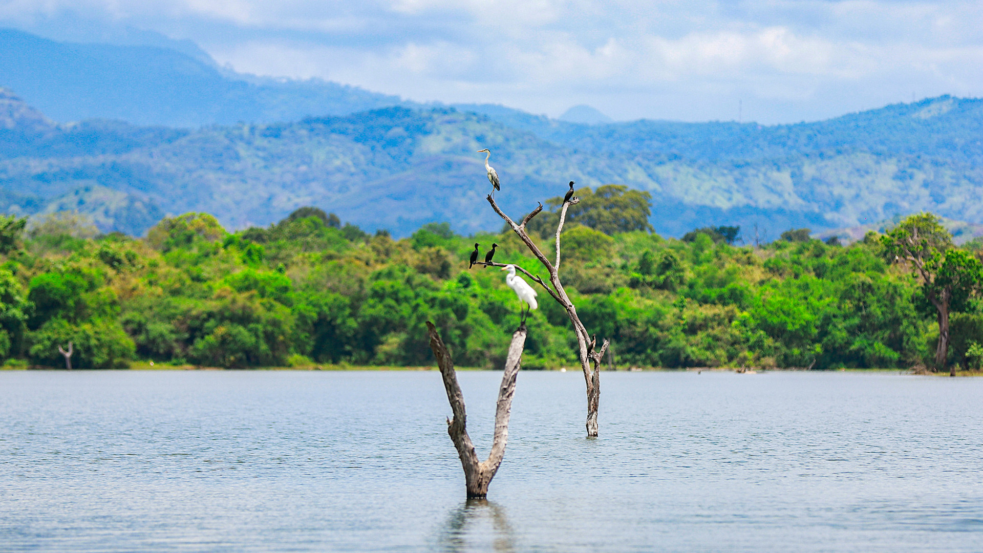 Udawalawe National Park