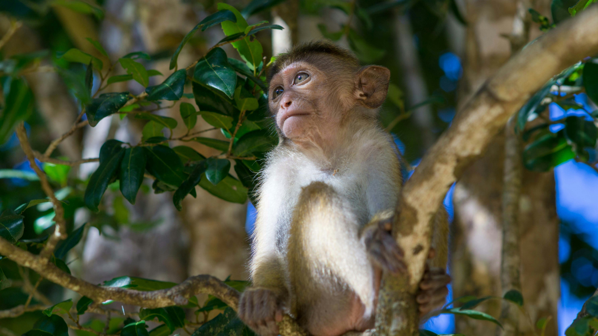 Wilpattu National Park